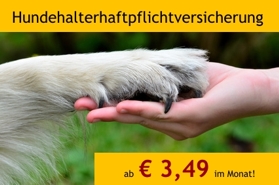 Hundehalterhaftpflichtversicherung ab € 3,49!
